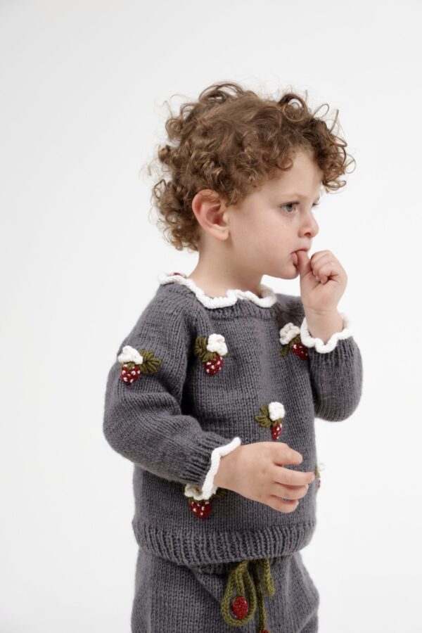 Kinderen Trouwtje  en broek aardbeien 80% wol  en 20% alpaca - Grijs ( 2-4 jaar)