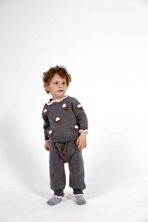 Kinderen Trouwtje  en broek aardbeien 80% wol  en 20% alpaca - Grijs ( 2-4 jaar)