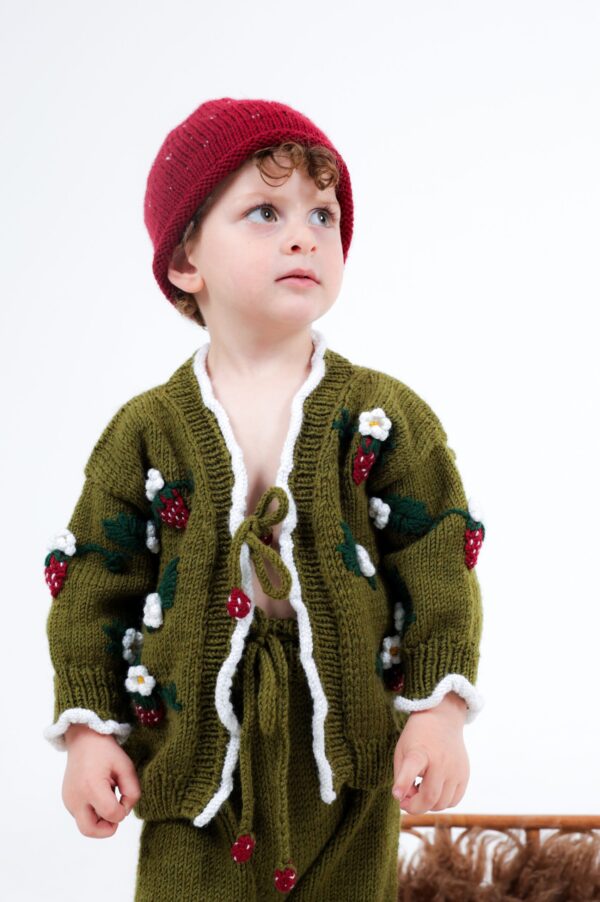 Kinderen Set Vest en Broek Aardbeien 80% wol  en 20% alpaca - Groen  ( 2-4 jaar)