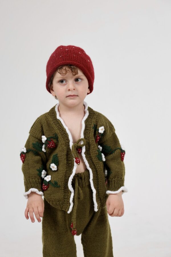 Kinderen Set Vest en Broek Aardbeien 80% wol  en 20% alpaca - Groen  ( 2-4 jaar)