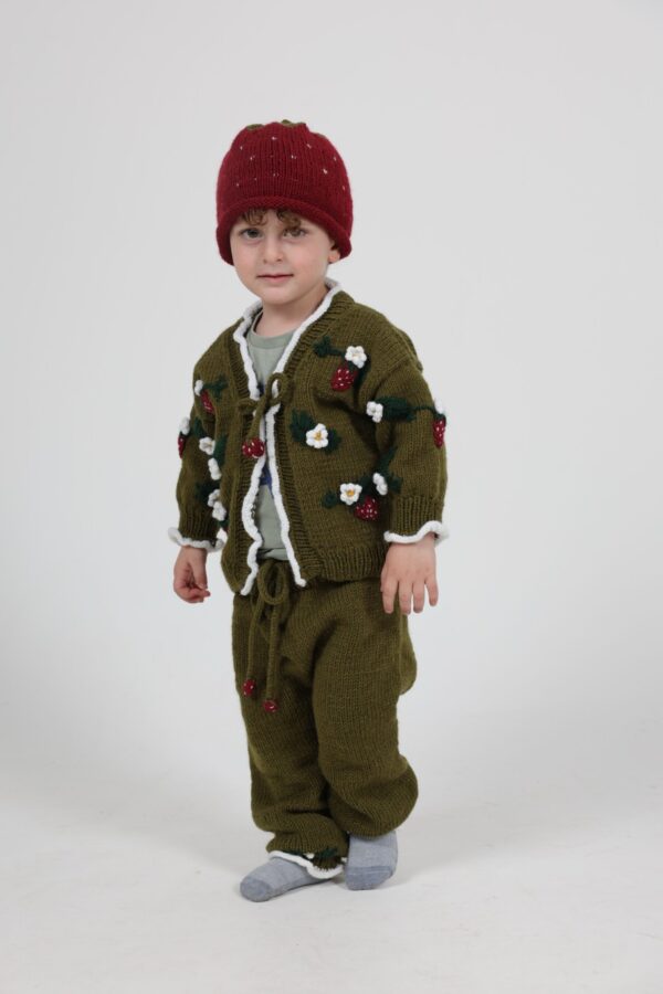 Kinderen Set Vest en Broek Aardbeien 80% wol  en 20% alpaca - Groen  ( 2-4 jaar)