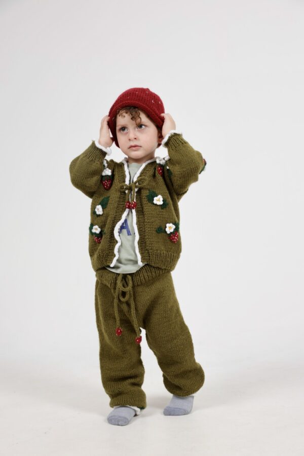 Kinderen Set Vest en Broek Aardbeien 80% wol  en 20% alpaca - Groen  ( 2-4 jaar)