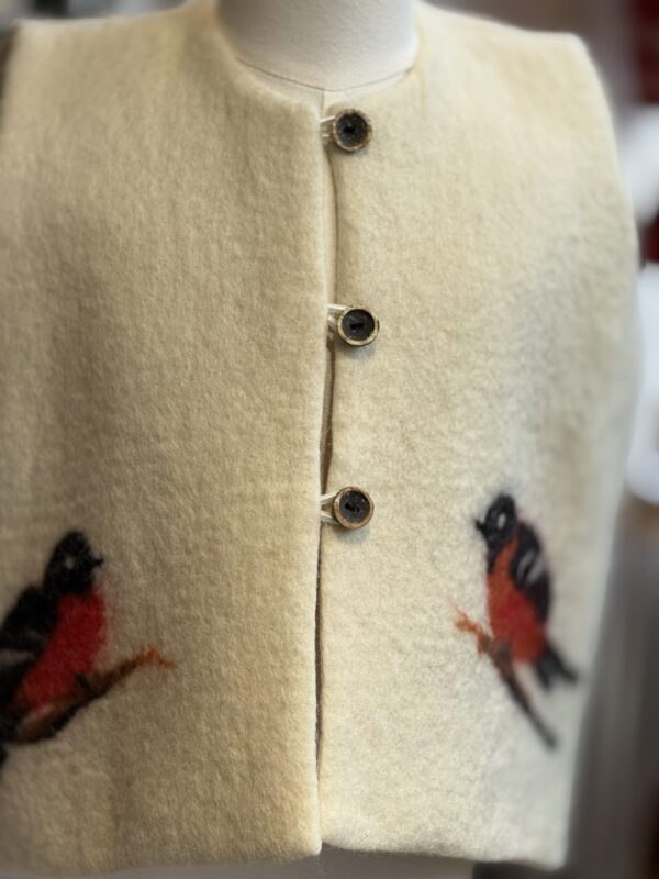 Handgemaakte  Gilet Merinowol  Vilt Kleding voor Kinderen | Luxe & Ambacht Leftijd 4-5 jaar  Vilt Vogels